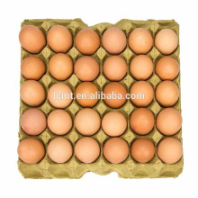 high-top egg carton ,hightop egg carton suppliers